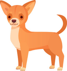 Small sized short coated dog breed with pointed ears and a curled tail, standing in a friendly and alert pose, exuding a playful and cheerful demeanor against a white background