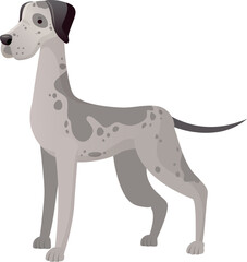 Great Dane dog standing in profile, showing its black head and gray spotted body, a large and powerful breed known for its gentle nature and imposing size