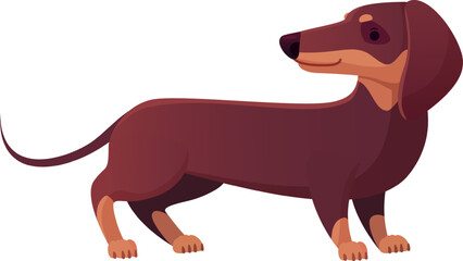 Cartoon style vector illustration featuring a brown dachshund standing and gazing to the right against a clean white background, highlighting its adorable and playful nature