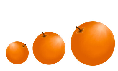 Three oranges on transparent background
