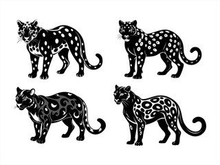 clouded leopard sihouette black vector bundle