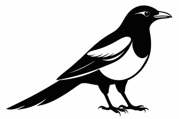 magpie sihouette black vector