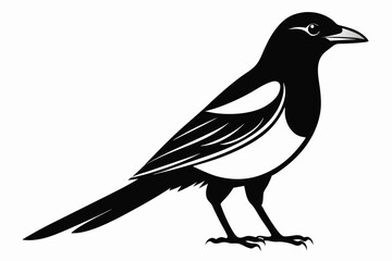 magpie sihouette black vector