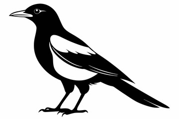 magpie sihouette black vector
