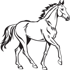 Obraz premium Spirited Horse at a Trot