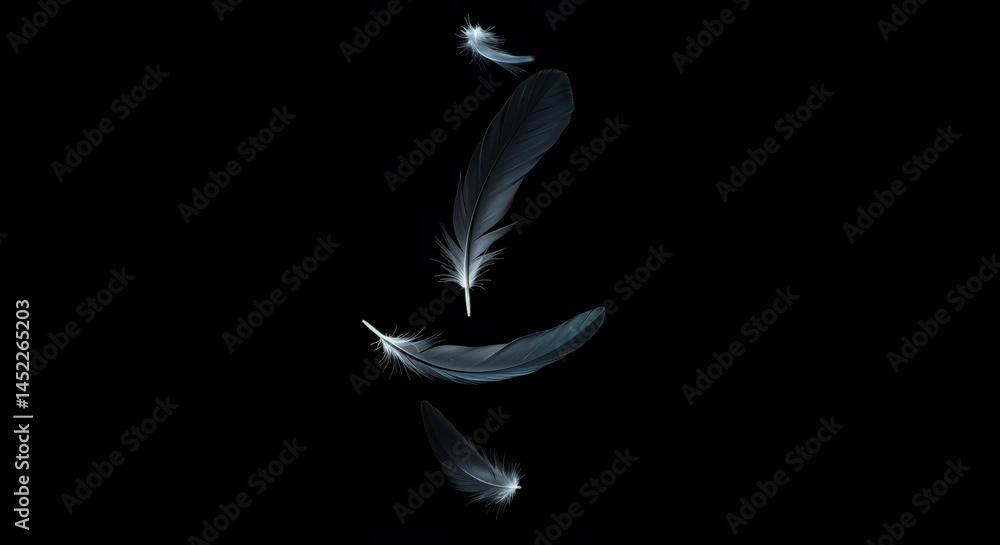 Poster isolated floating feathers on black background representing peace and lightness perfect for composit