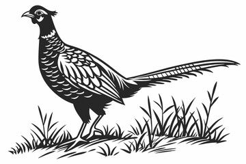 pheasant sihouette black vector