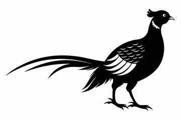 Fototapeta premium pheasant sihouette black vector