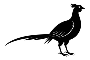 pheasant sihouette black vector
