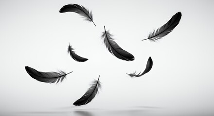 Raven Feathers Floating in Mid Air Casting Delicate Shadows on White Canvas Creating Mesmerizing Dance of Lightness Minimalist Studio Shot Perfect for Decoration