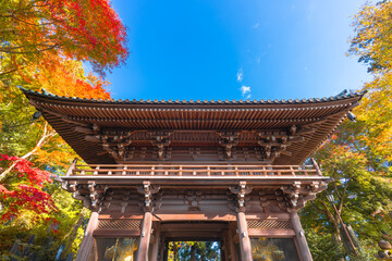東京・高尾山 薬王院の紅葉と山門（2024年11月撮影）