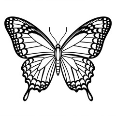 ‎A black and white butterfly illustration line art of a coloring page