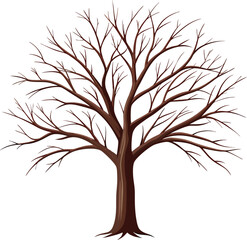 Obraz premium Bare winter tree