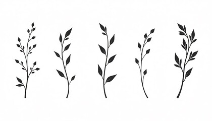 Minimalist Silhouette Leaf Branch Vector Illustration Botanical Design Elements On White