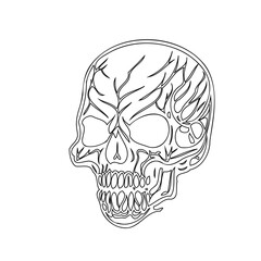 Stylized skull illustration with organic vein-like pattern evoking mortality