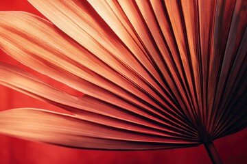 Close-up view of a reddish-brown palm leaf against a vibrant red background.