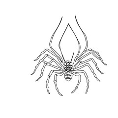 Minimalist arachnid illustration featuring a descending spider silhouette