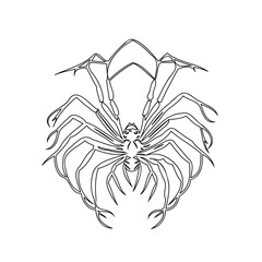 Intricate line art showcasing a stylized spider with detailed leg design