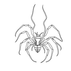 Intricate linear representation of a spider hanging down on a white backdrop