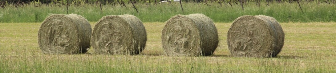 bales of hay in the countryside. Typical rural landscape in Northern Italy
