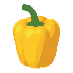 Realistic yellow bell pepper with visible surface texture - vector vegetable isolated on white background for healthy food labels, raw recipes, clean design projects etc.