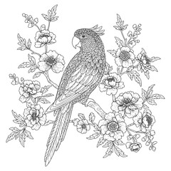 Bird and flowers illustration. Adult coloring page
