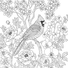 Bird and flowers illustration. Adult coloring page
