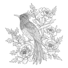 Bird and flowers illustration. Adult coloring page