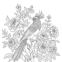 Bird and flowers illustration. Adult coloring page