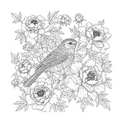 Bird and flowers illustration. Adult coloring page