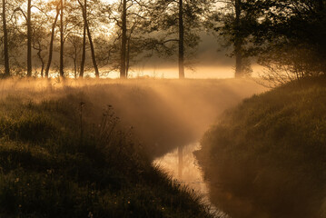 Piękny wiosenny poranek nad wodą we mgle. © Elżbieta Kaps