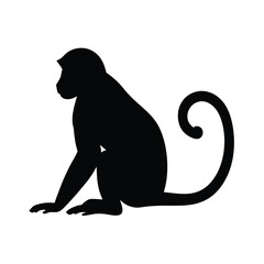 Silhouette vector of a monkey sitting, depicting a chimpanzee primate in black and white