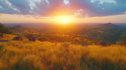 African Savanna Sunset: Golden Grasslands and Dramatic Sky