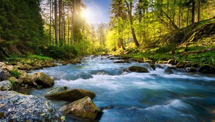 Obraz premium spring forest nature landscape beautiful spring stream river rocks in mountain forest