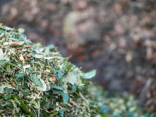 A pile of wood chips is on the ground. The pile is brown and has a lot of wood chips. Selective focus. Waste ground with dirty tree mulch.