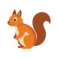 Squirrel Cartoon illustration on white background
