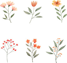 Collection of spring colorful flower elements . Set floral of wildflower, leaf branch, foliage on white background. Hand drawn blossom illustration for decor, easter, sticker, clipart, print.