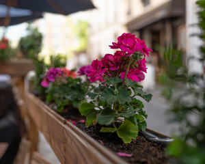 Les rues du centre ville de Paris en France