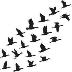 Vector Illustration of bird silhouettes