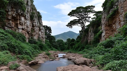 Obraz premium Serene Canyon Oasis Lush greenery with tranquil stream, and majestic mountains.