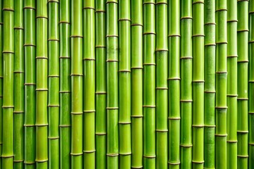 Fototapeta premium Natural Green Bamboo Wall Texture, Tiled Pattern Background