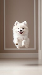 Pastel background playful Pomeranian puppy jumping midair with a dreamy softfocus backdrop