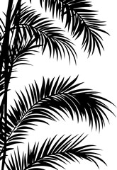 Obraz premium Black Silhouettes of Palm Leaves Against a White Background