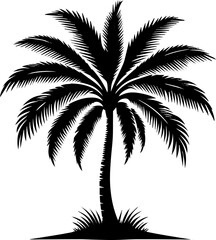 palm tree silhouette