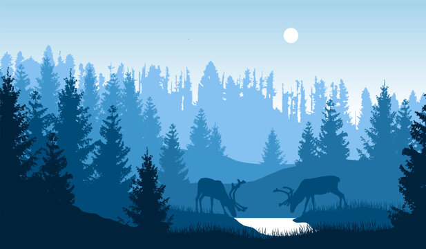 Vector forested landscape with two moose drinking from a pond in blue colors.
