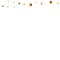 Autumn Leaves Bean Vector