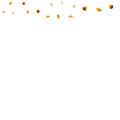 Autumn Leaves Bean Vector