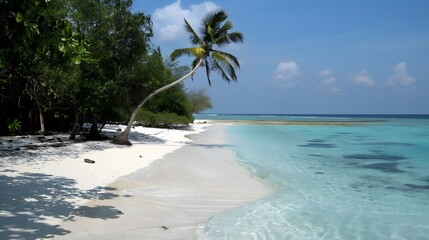 Fototapeta premium Tropical Paradise: White Sand Beach, Crystal Clear Ocean, Lush Greenery, Swaying Palm Trees, Tranquil Atmosphere, Serene Coastal Escape, Idyllic Island Getaway, Picturesque Shoreline, Azure Waters, Un