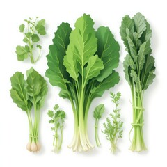 Mustard Greens Bold, Peppery Leaves Packed with Nutrition