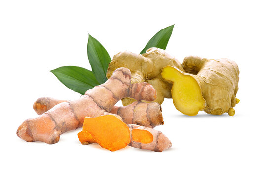 Thai herb  fresh  ginger and   turmeric   on transparent.